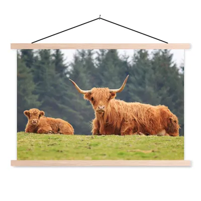 Produktbild von MuchoWow® Textilposter Schottische Highlander - Gras - Wald 120x80 cm mit holzfarbenen Rahmen - Aufhängeset