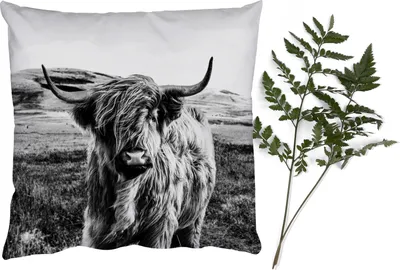 Produktbild von MuchoWow® Zierkissen Sofakissen Wohnzimmer Dekokissen 40x40 cm Schwarz - Weiß - Schottisches Hochlandrind - Gras - Foto Kissen - Schlafzimmer Dekoration