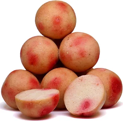 Produktbild von Carp Killers Baits Boilies Scoberry 5kg , Durchmesser:20mm