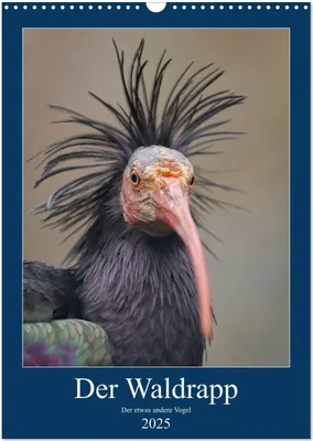 Produktbild von Der Waldrapp - Der etwas andere Vogel (Wandkalender 2025 DIN A3 hoch), CALVENDO Monatskalender