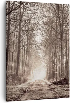 Produktbild von Bild auf Leinwand - Leinwandbild - Einteilig - Wald Straße Baum - 50x70cm - Wand Bild - Wanddeko - Wandbilder - Leinwanddruck - Kunstdruck - Wanddekoration - Leinwand bilder - Wandbild - PA50x70-3620