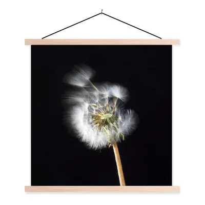 Produktbild von MuchoWow® Textilposter Eine Pollenblume auf schwarzem Hintergrund 40x40 cm mit holzfarbenen Rahmen - Posterleiste