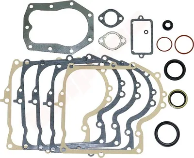 Image de Joints Pour Briggs & Stratton 16 ( 490525 , 494241 )