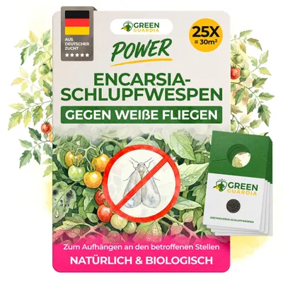 Produktbild von Encarsia Schlupfwespen gegen weiße Fliegen, 25 Karten für  125m², weiße Fliege bekämpfen für Innenräume & Gewächshaus, Chemiefrei&Sicher,Green Guardia
