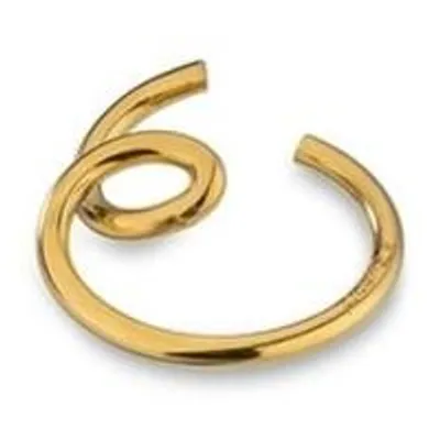 Produktbild von Damenohrringe AN Jewels AS.PD01Y