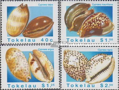 Produktbild von Briefmarken Tokelau 1996 Mi 238-241 (kompl.Ausg.) postfrisch Porzellanschnecken