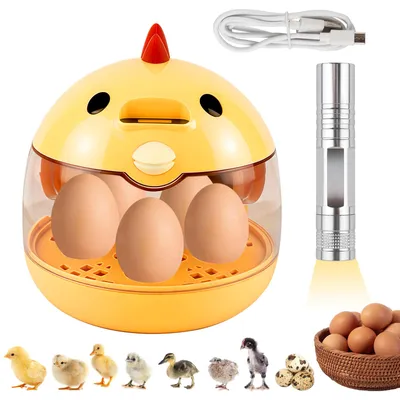 Produktbild von Brutkasten für Hühnereier, Tierinkubator mit 240° Sichtfenster & USB-Anschluss, Automatische Eiervolter mit Temperaturkontrolle，Kinder Lernspielzeug