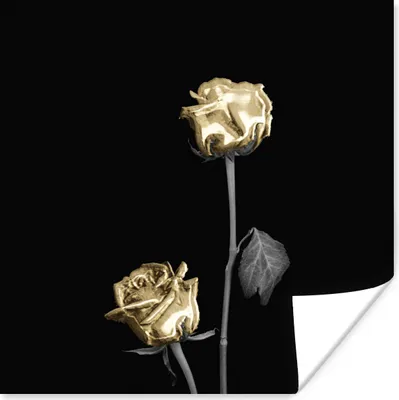 Produktbild von MuchoWow® Poster Rosen - Blumen - Schwarz - Weiß - Gold 50x50 cm - Wohnzimmerdekoration