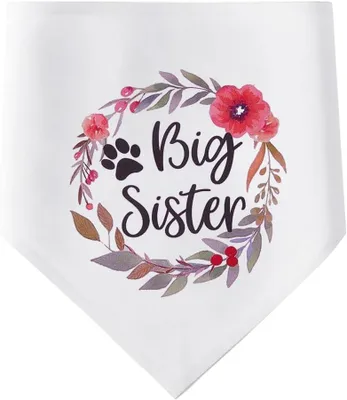 Image de Bandanas pour chiens - Polyester - Respirant - Lavable