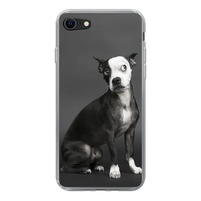 Produktbild von MuchoWow® Handyhülle Schutzhülle Hülle für iPhone SE 2022 Hund - Spot - Porträt Silikon Softcase Handy Hülle