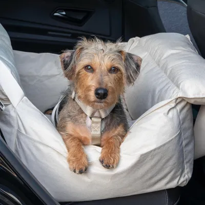 Produktbild von Hund Autositz beige – Hundebett Auto, waschbarer Hundesitz