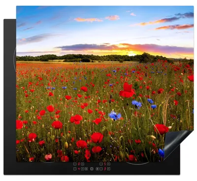 Produktbild von Solidchoice - Induktionskochfeld-Schutz 60x52 cm - Induktionsmatte mit Blumenmuster