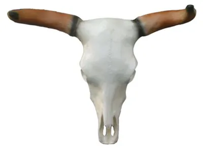 Produktbild von Bullenschädel Stierkopf Wand Skulpturen Höhe 64 cm Deko Figur Wand Dekoration