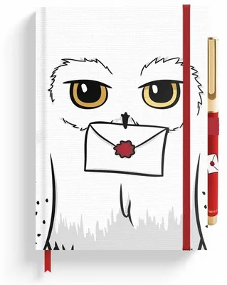 Obrázok produktu pre Zápisník Harry Potter Hedwig, formát A5, prémiová kvalita + pero