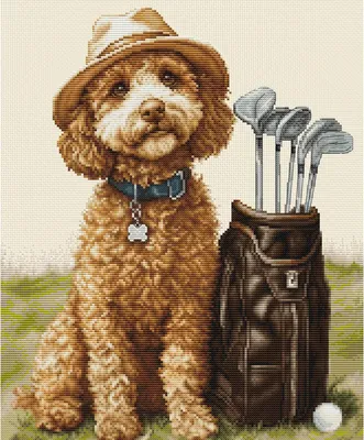 Produktbild von Luca-S Kreuzstich Stickpackung "Der Meistergolfer", Zählmuster, 26x31cm