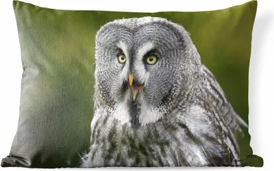 Produktbild von MuchoWow® Outdoor Kissen - Vogel - Eule - Grau - 60x40 cm - Wetterfest - Lounge Kissen - Zierkissen - Kissen für Innenräume