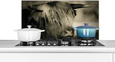 Produktbild von KitchenYeah®  Spritzschutz Küche - Küchenrückwand - Wandschutz für Herd und Spüle - Schottisches Hochlandrind - Tiere - Haare 90x45 - Alu-Dibond (Alternative zum Spritzschutz aus Glas) - Hitzebeständi