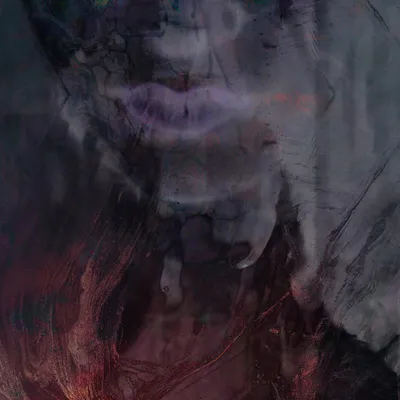 Image de Fierce (remixes et plus)
