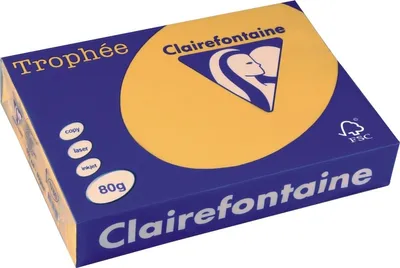 Obrázek produktu pro Clairefontaine Trophee A4, A4 (210 × 297 mm), zlatá, univerzální