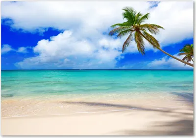 Produktbild von Tulup® Leinwandbild - 100x70 cm - Wandkunst - Drucke auf Leinwand - Leinwanddruck  - Landschaften - Blau - Karibischer Strand