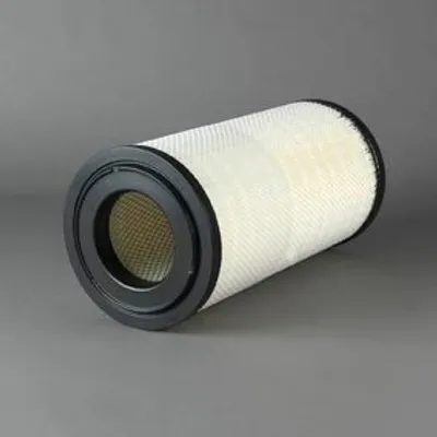Immagine prodotto di Filtro aria DONALDSON P952740