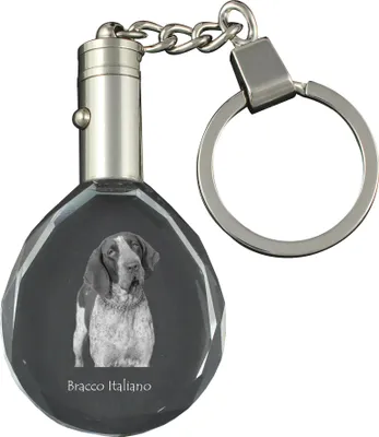 Produktbild von Italienischer Vorstehhund, Bracco Italiano - Anhänger mit einem Foto eines Hundes, Schlüsselanhänger aus Kristall in einer Geschenkbox, ein einzigartiges Geschenk von Art-Dog