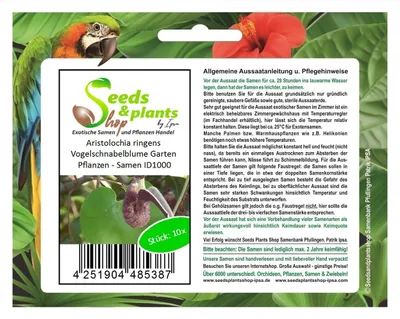 Produktbild von 10x Aristolochia ringens Vogelschnabelblume Garten Pflanzen - Samen ID1000