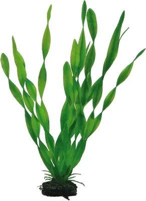 Imagen del producto de Planta artificial Vallisneria, 34 cm, de plástico, para acuarios y terrarios