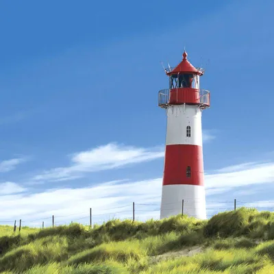 Produktbild von 240 Duni Tissue-Servietten 33 x 33 cm Lighthouse 3-lagig
