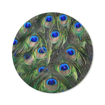 Produktbild von MuchoWow® Mauspad Mousepad Nahaufnahme von Pfauenfedern 20x20 cm - Mousepads - Maus Mat - Pad - Mausunterlage - Schreibtischmatte