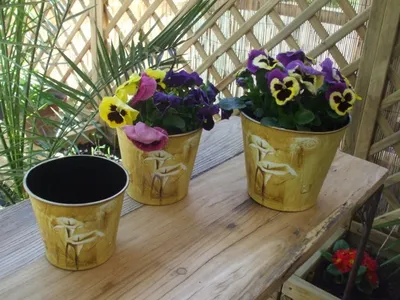 Produktbild von Pflanztopf-Set Pflanztopf Blumentopf Calla 3 Stück 3 Größen,