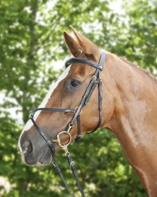 Produktbild von HKM Reittrense mit Mexikanischem Reithalfter, Farbe:9100 schwarz, Größe:Pony