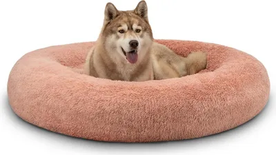 A dog is lying in a round, plush dog bed.