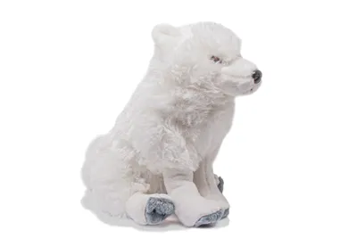 Produktbild von Wild Republic - Kuscheltier - Cuddlekins - Polar Fuchs