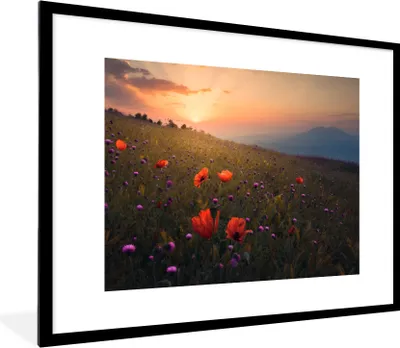 Produktbild von MuchoWow® Gerahmtes Poster Blumenfeld - Gras - Pflanzen - Sonnenuntergang - Orange 80x60 cm - Poster mit Schwarzem Bilderrahmen Wandposter Rahmen Foto Bilder - Schlafzimmer-Dekorationen - Fotoposter