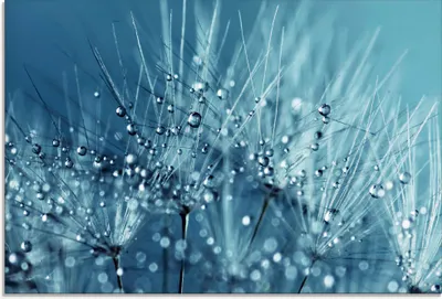 Produktbild von ARTland Glasbild Blaue glitzernde Pusteblume Größe: 80x60 cm