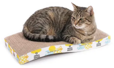 Productafbeelding van Kartonnen krabplank voor katten – Voor de vermaak van uw geliefde huisdier