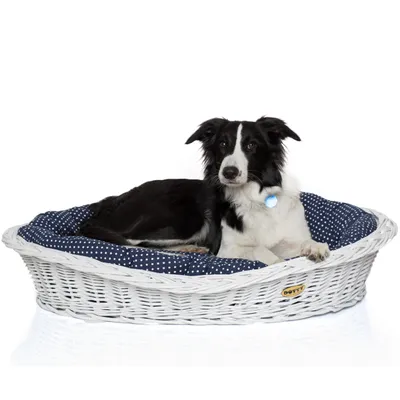 Produktbild von Weiß gebleichter Weidenkorb für Hunde Wikikorb mit Baumwoll-Hundebett – Marineblau mit weißen Punkten Polka Dots – DOTTY