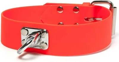 Produktbild von Mystique® Biothane Schweisshalsband 38mm neon orange 35-45cm
