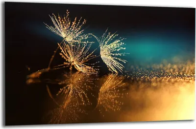 Produktbild von Herdabdeckplatte Glaskeramikkochfeld-Abdeckung Spritzschutz Glas 80x52 Blumen