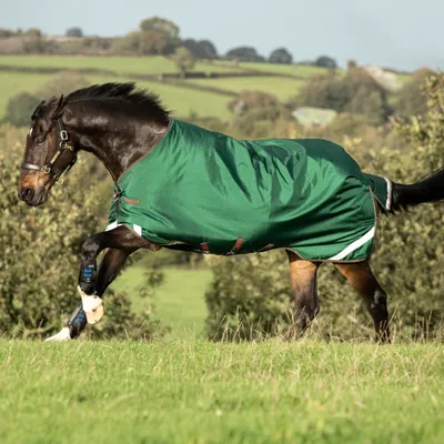 Produktbild von Horseware Rambo Original Turnout Lite 100g - Green/Red, 145