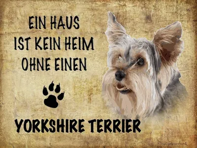 Produktbild von vianmo Holzschild 30x40 cm Yorkshire Terrier Hund