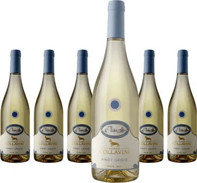 Produktbild von 6 x Collavini Villa Canlungo Pinot Grigio DOC Venezia Giulia