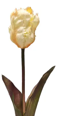 Immagine prodotto di Clayre & Eef, fiore artificiale, colore beige, materiale: plastica