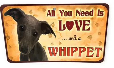 Haustierschild – Liebe und Whippet, 20x12 cm, rechteckig