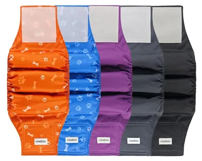 Image de 5 couches lavables pour chiens mâles