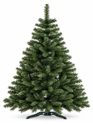 Immagine prodotto di Aga Albero di Natale Abete 150 cm