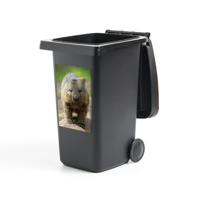 Obrázek produktu pro MuchoWow® Nálepka na odpadkový koš - Vombat na lavičce na pláži - 60x40 cm