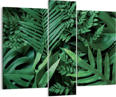 Produktbild von Bild auf Leinwand - Leinwandbild - 3 Teile - Exotisch Blätter Monstera - 95x80cm - Wand Bild - Wanddeko - Wandbilder - Leinwanddruck - Bilder - Wanddekoration - Leinwand bilder - CB95x80-4746