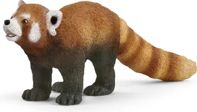 Produktbild von Schleich Wild Life 14833 Roter Panda